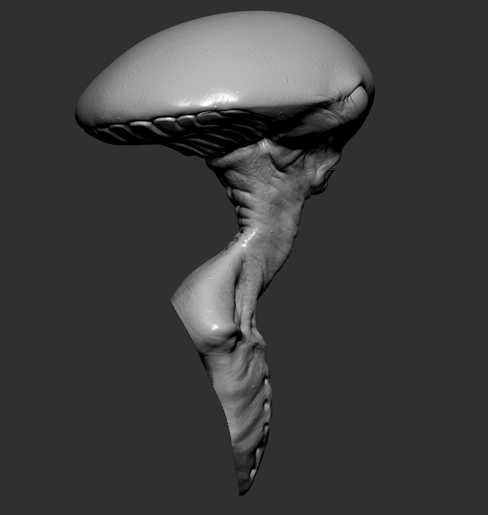 artur-alves-zbrush-documentc-zd