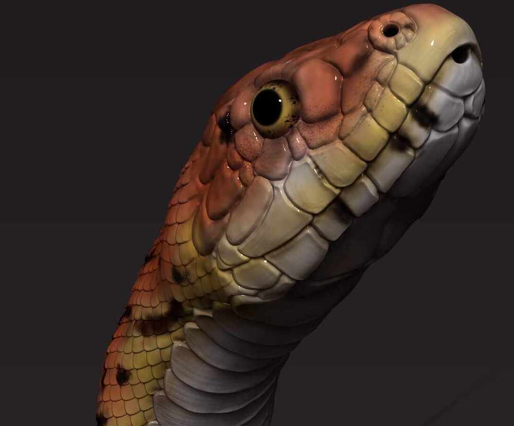 snake polypaint zbrush art4