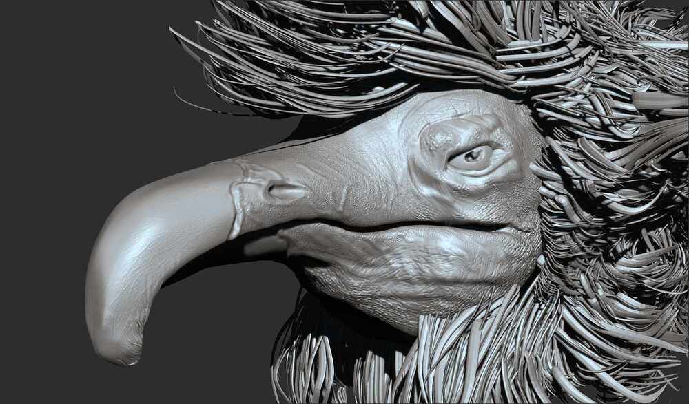 Birb