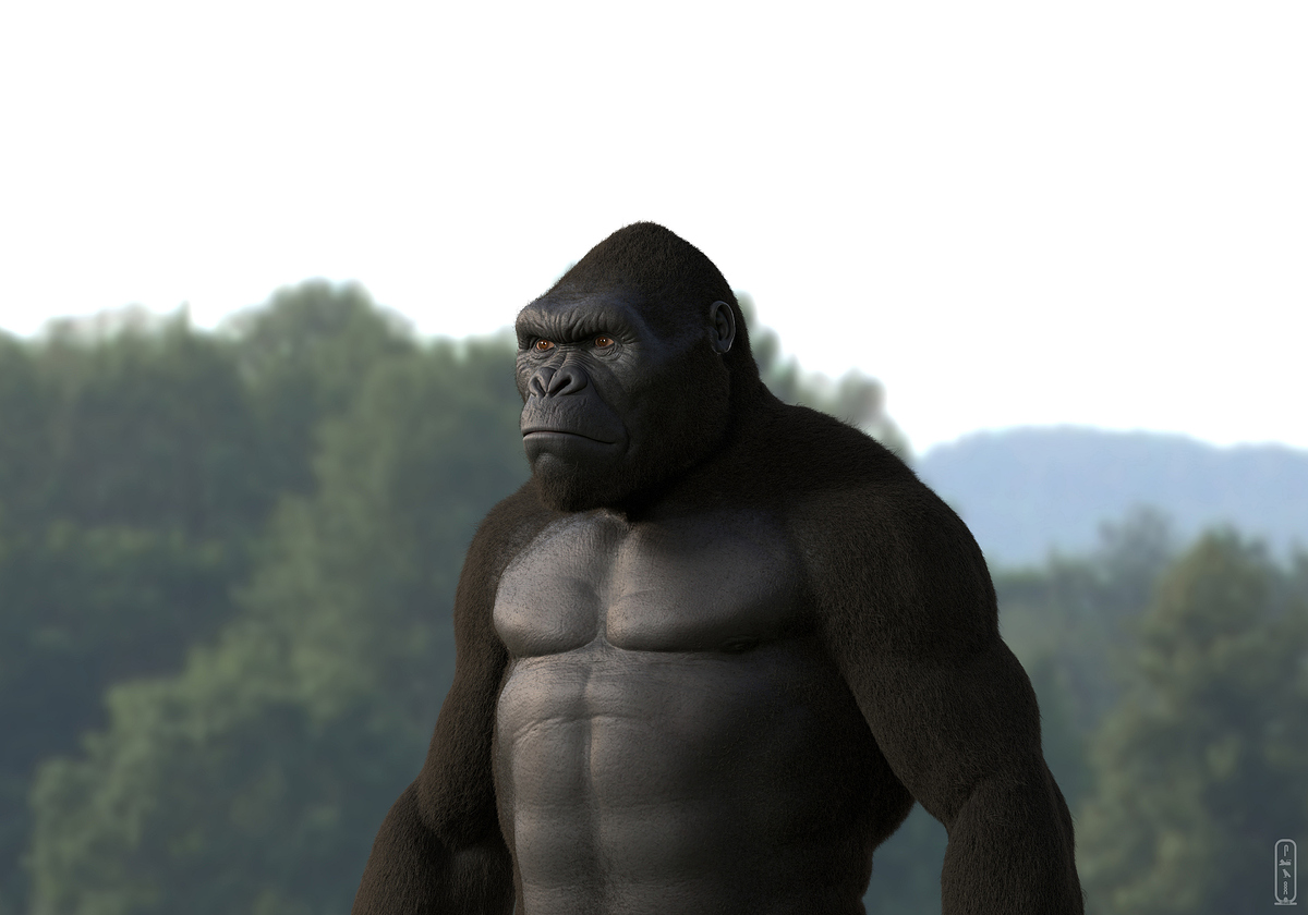 salah-elshehry-z27x-kong