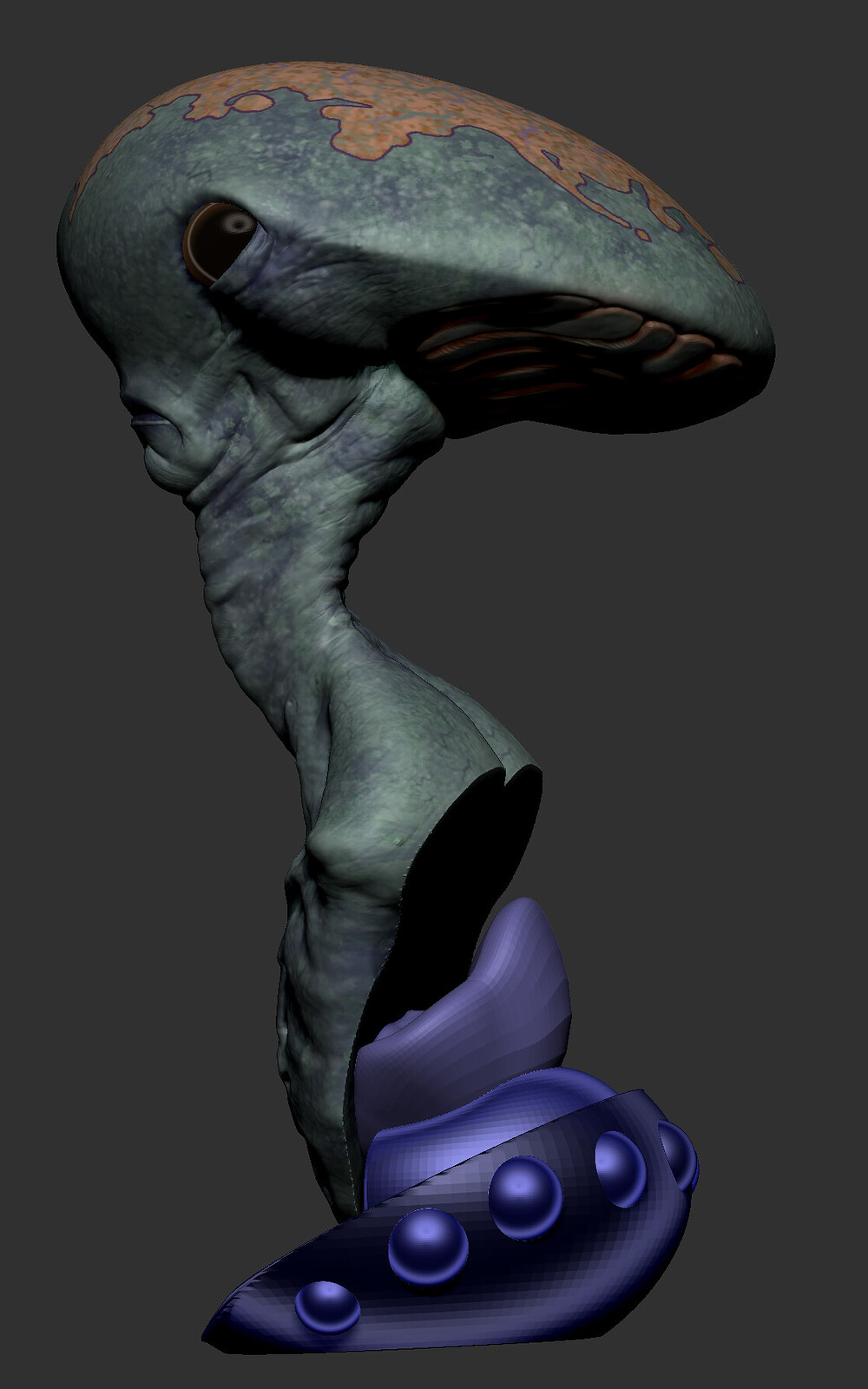 artur-alves-zbrush-documentnzdfn