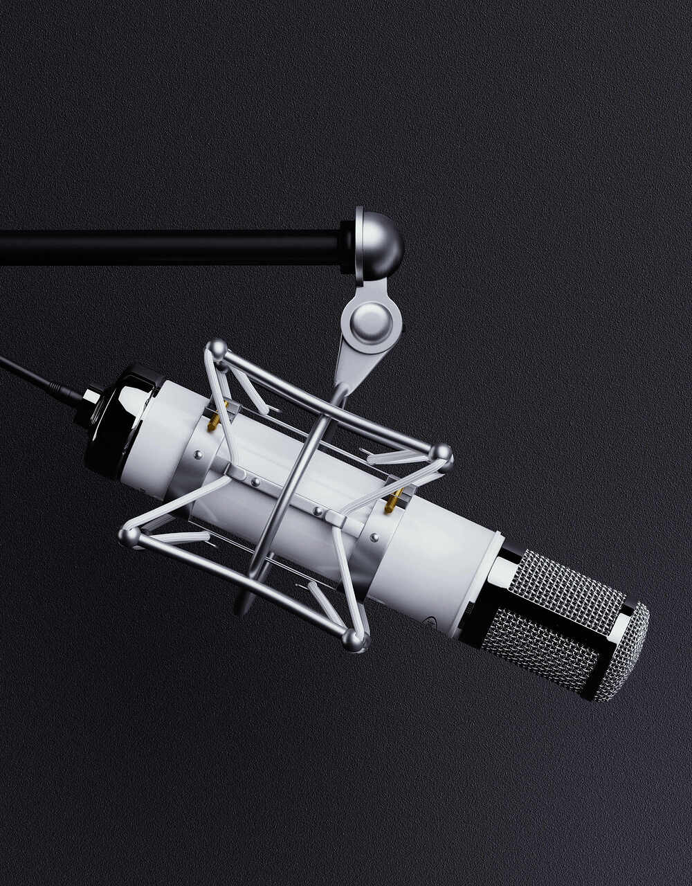 mic 01