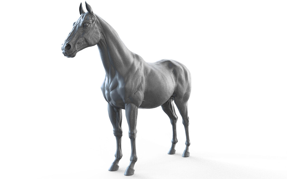 Horse_7