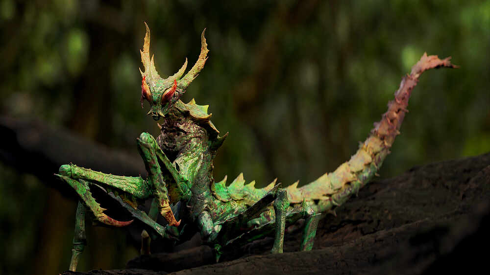 Mantis_Cam007E