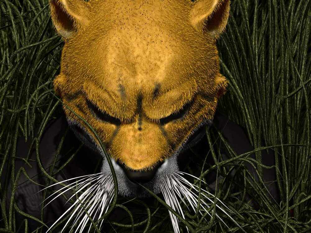 catrender2
