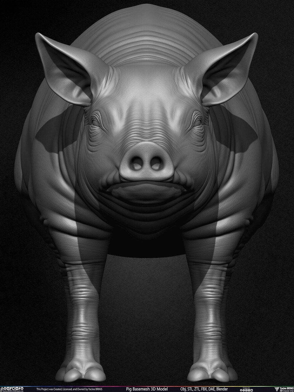 Pig Basemesh 3D Model Animal Anatomy Sculpted by Yacine BRINIS Set 009