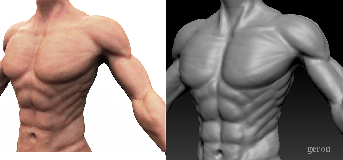 bodyDT_002 copy.jpg