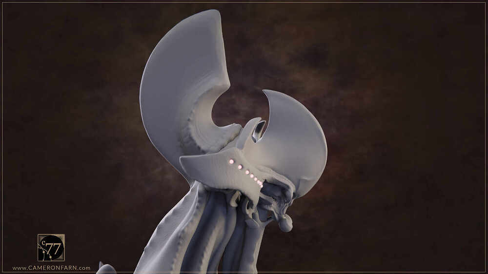 C77-Caravan Rider-Logo_0012_Group 2 copy 14