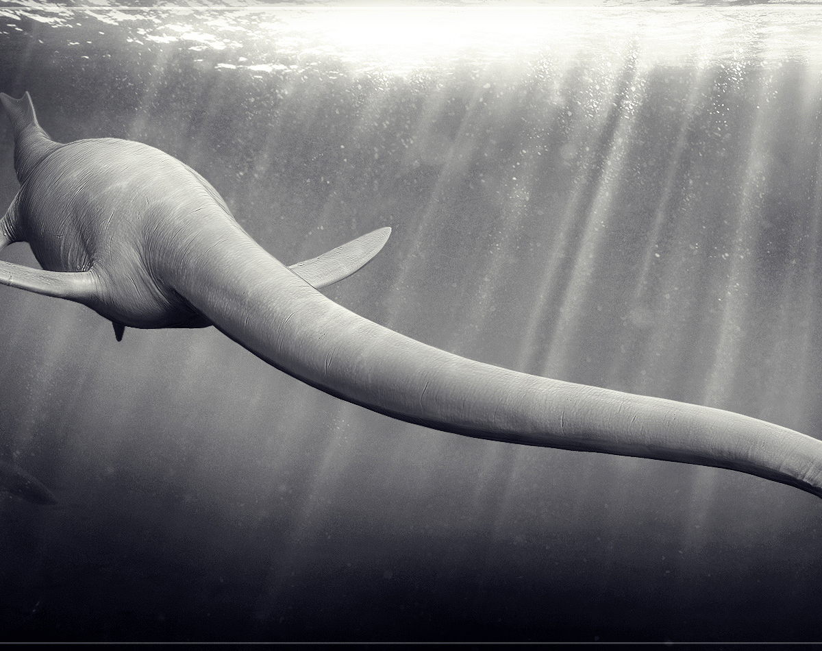 Thalassomedon_02_1900(low).jpg