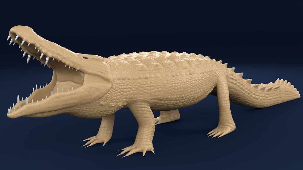 crocodilemaya2