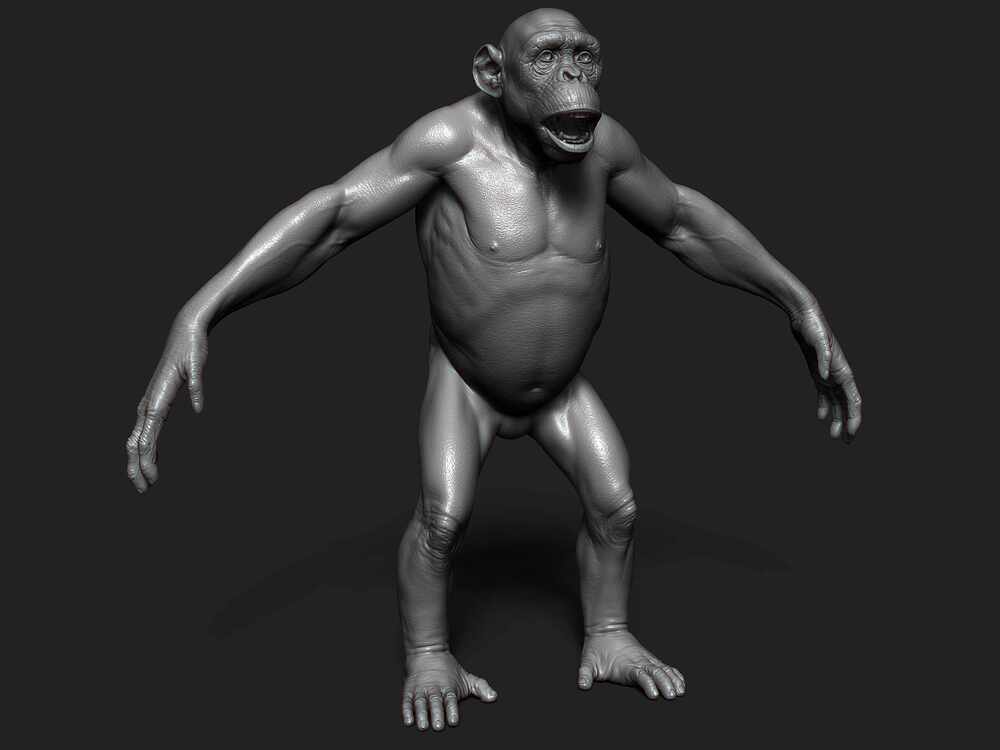 ZBrush Document