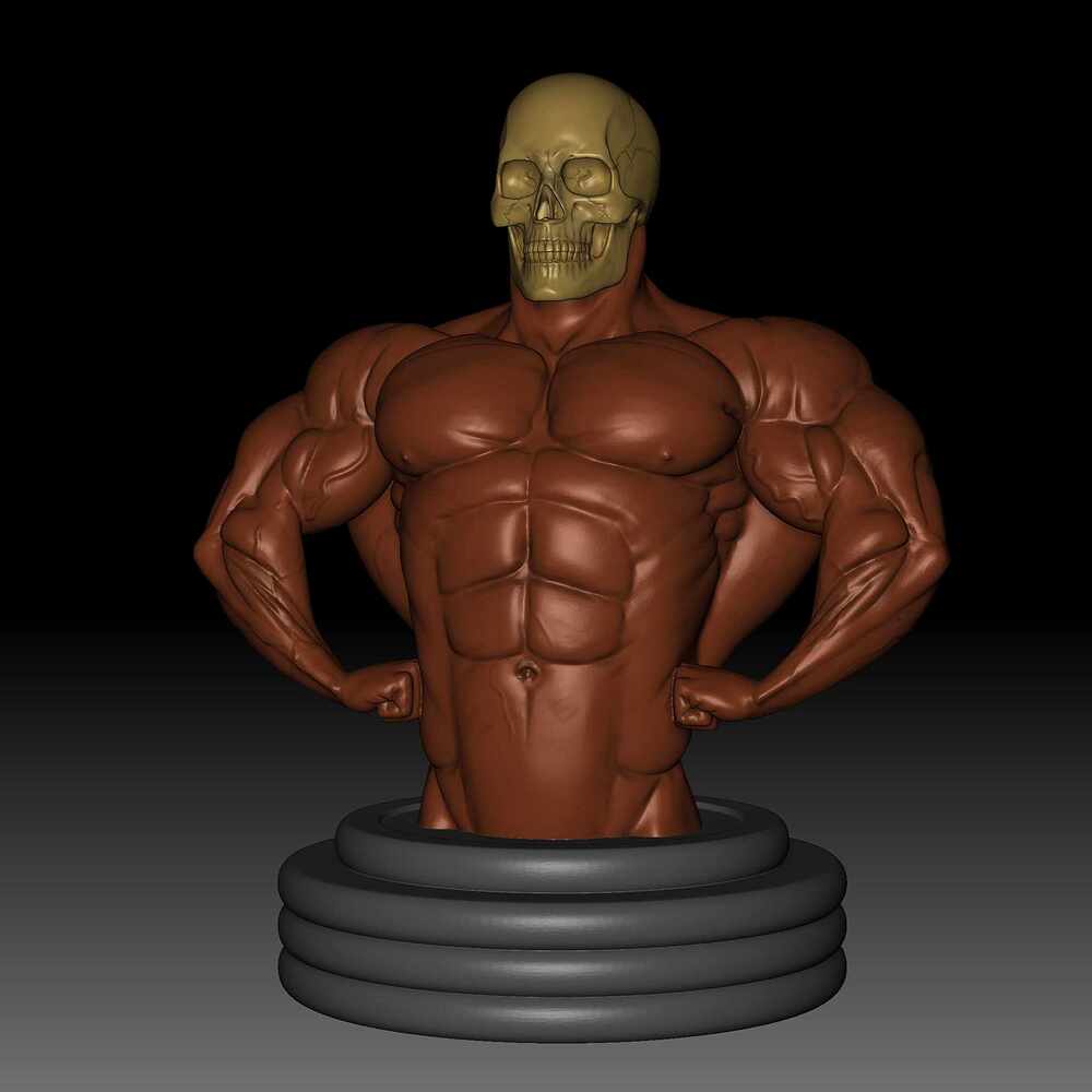 Body 25