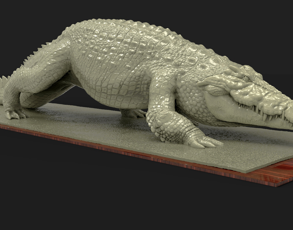 Croc RS.jpg