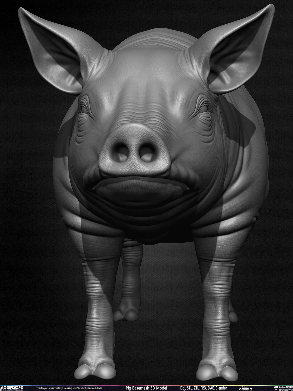 Pig Basemesh 3D Model Animal Anatomy Sculpted by Yacine BRINIS Set 010