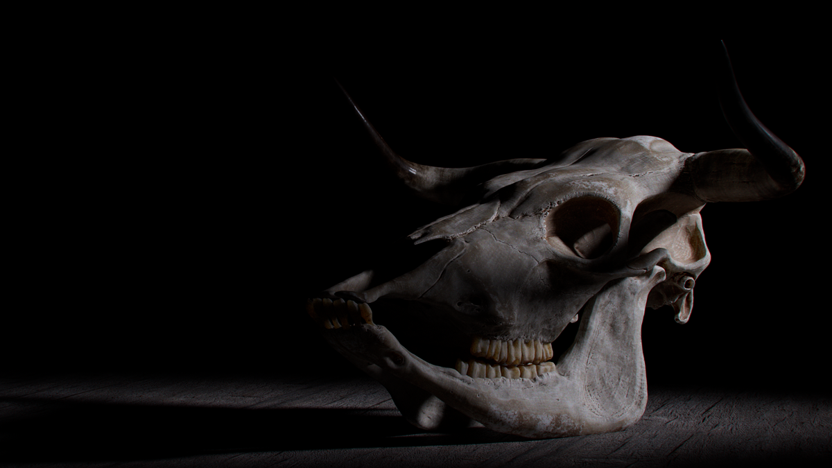bull_skull_render_02