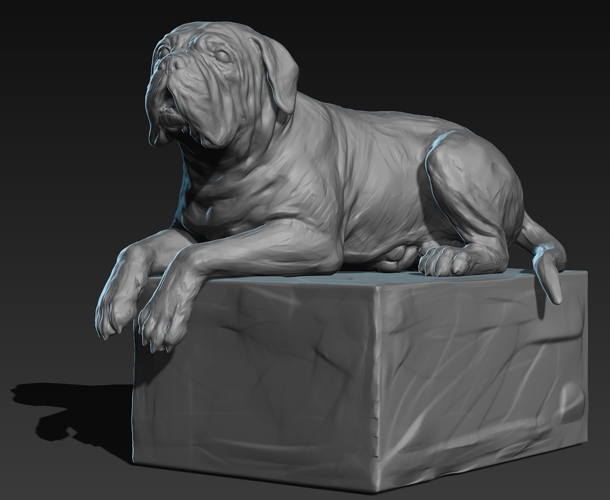 DOGUE_01.jpg