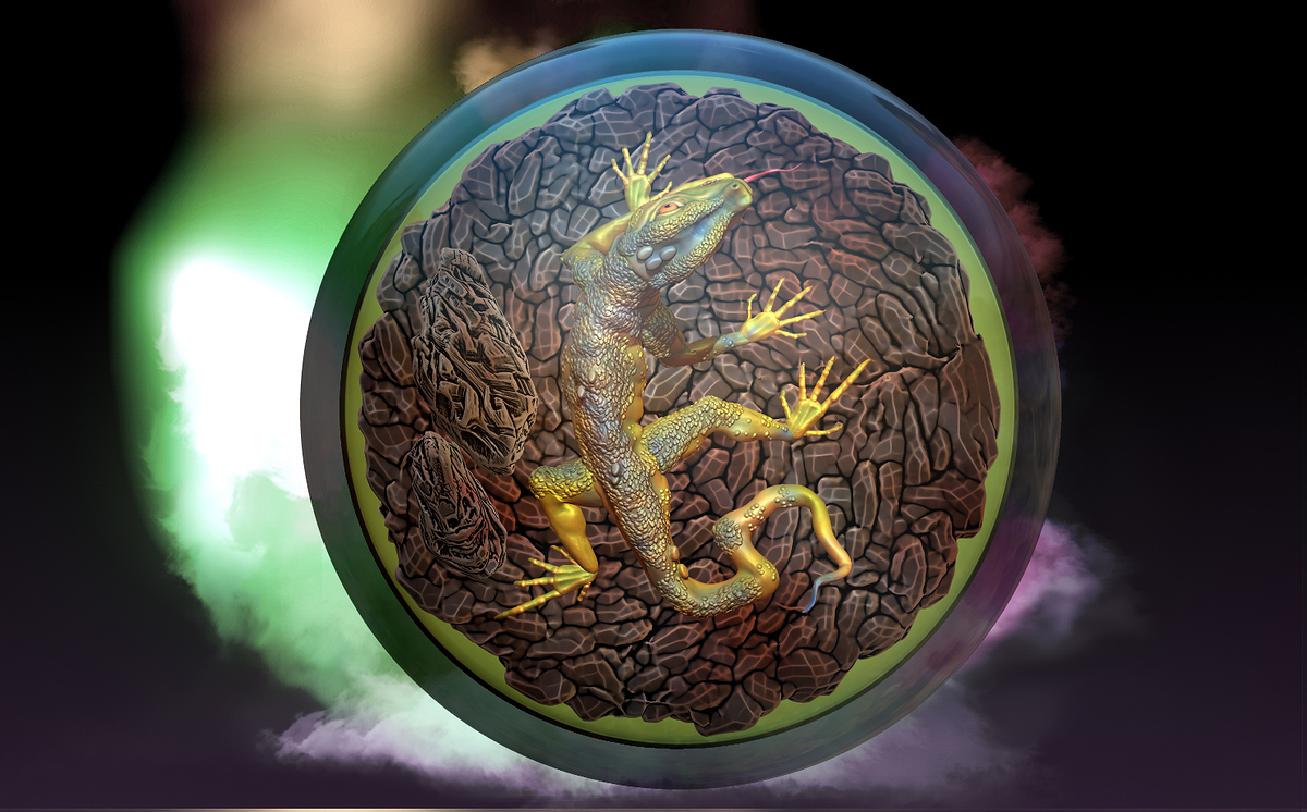 LYZARD NUOVA TOP