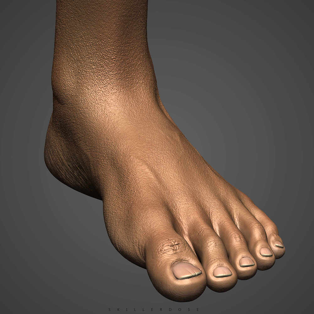 BPR_Render06