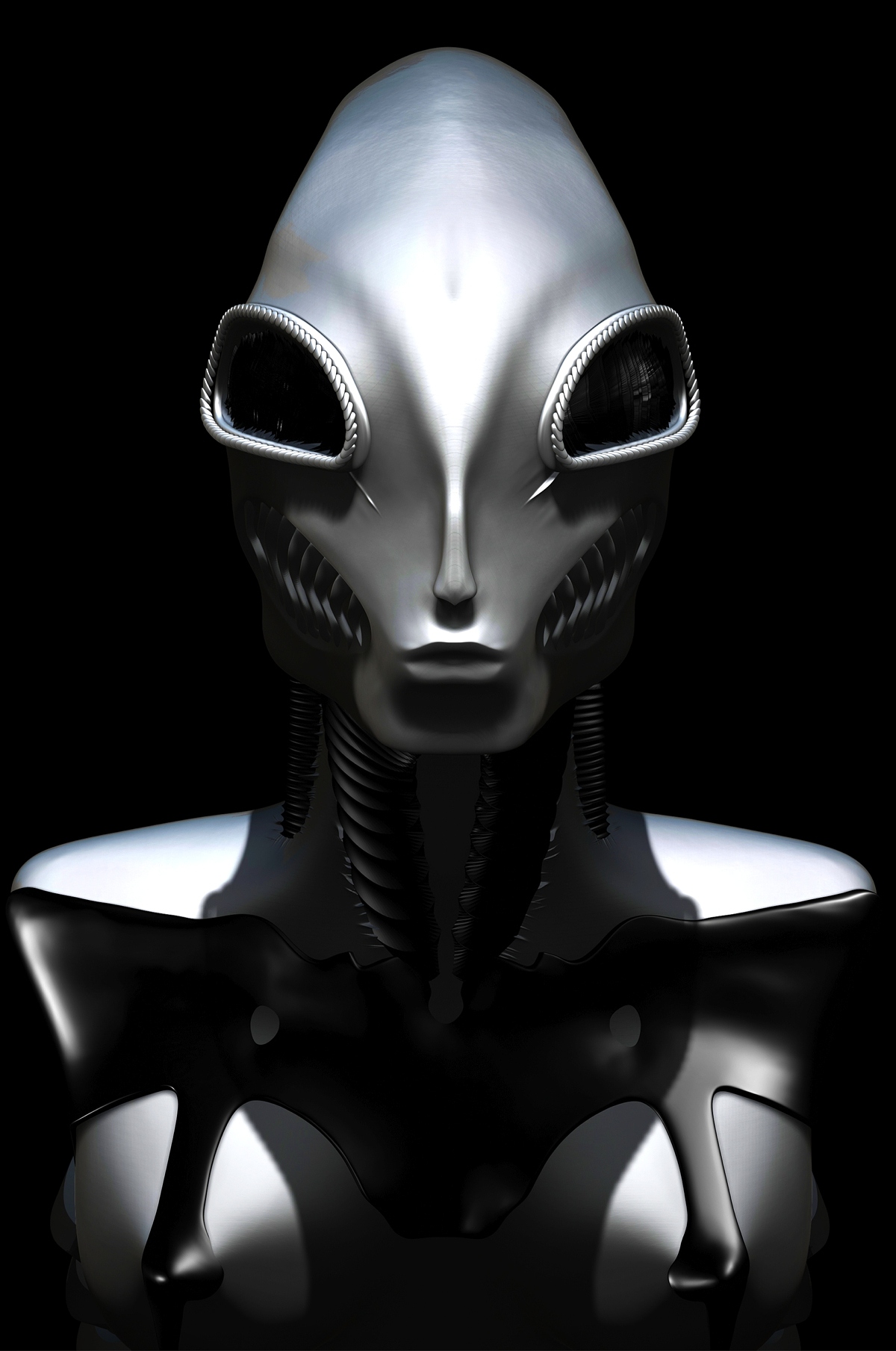 Torso front CC.jpg