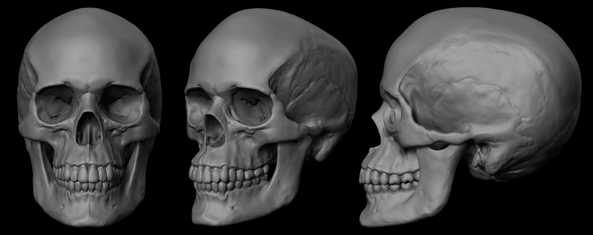 Skull1