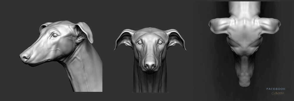 gael-kerchenbaum-galgo-breakdown-01-003