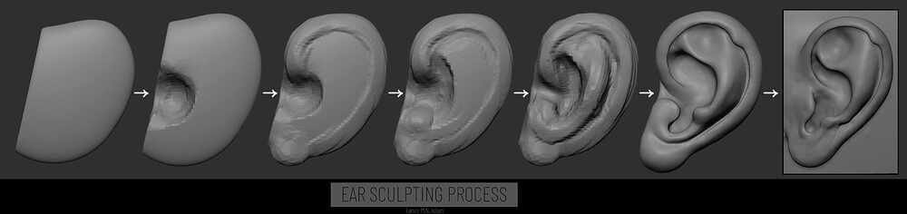 Ear sculpting process