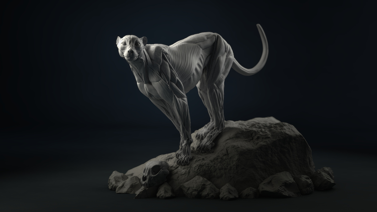 Cheetah_Pose01_v01