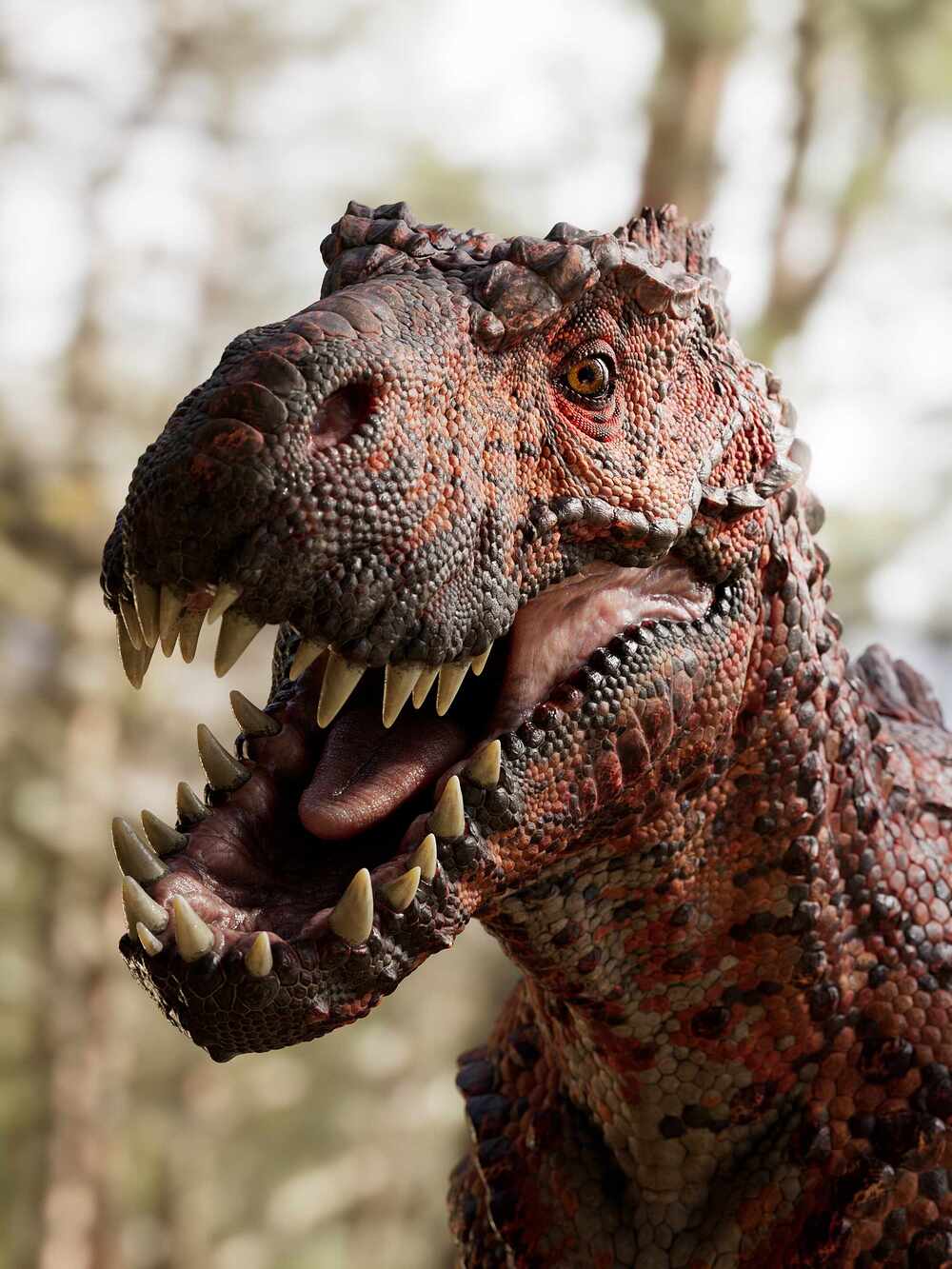 differentAngles_1004_v07