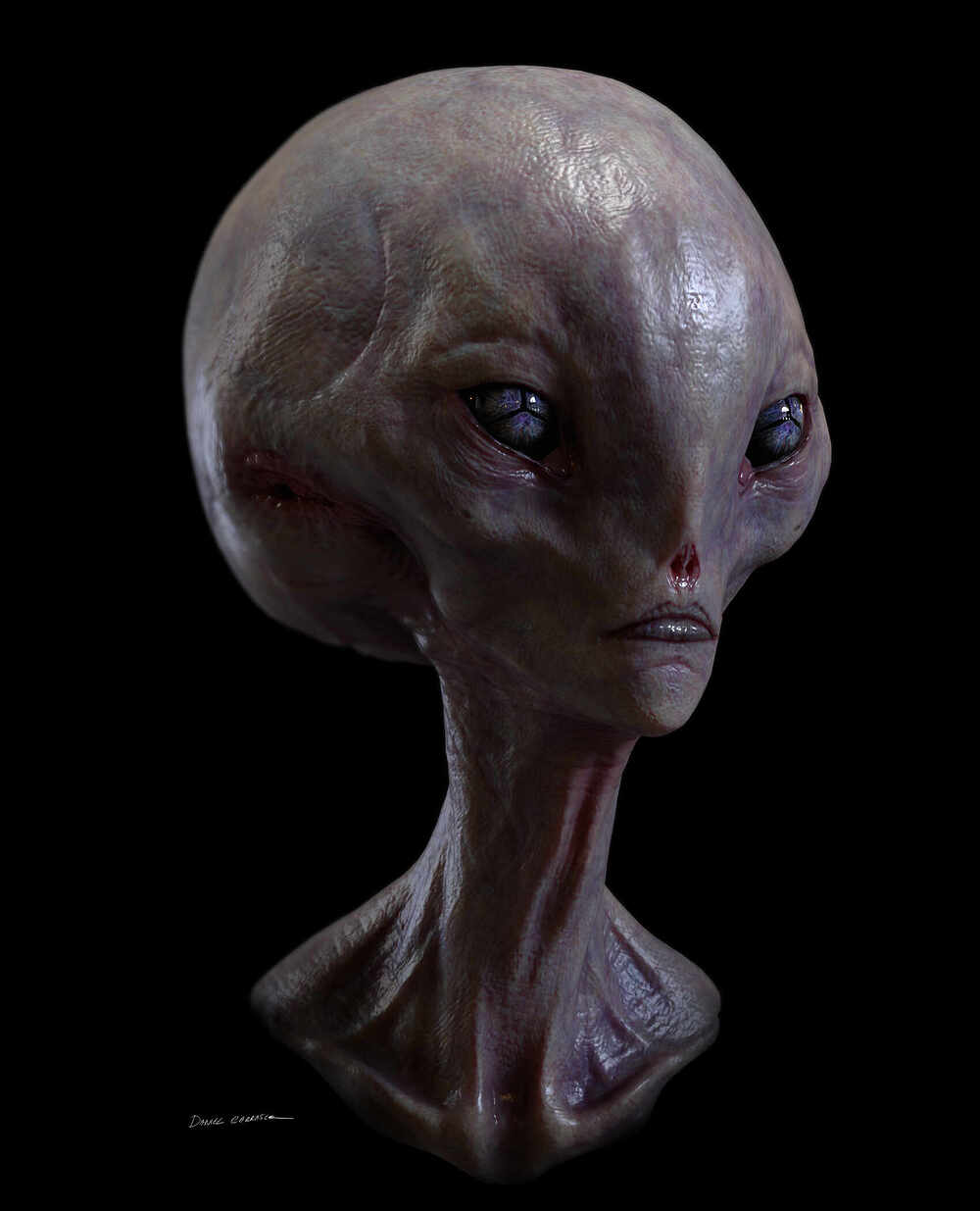 1b