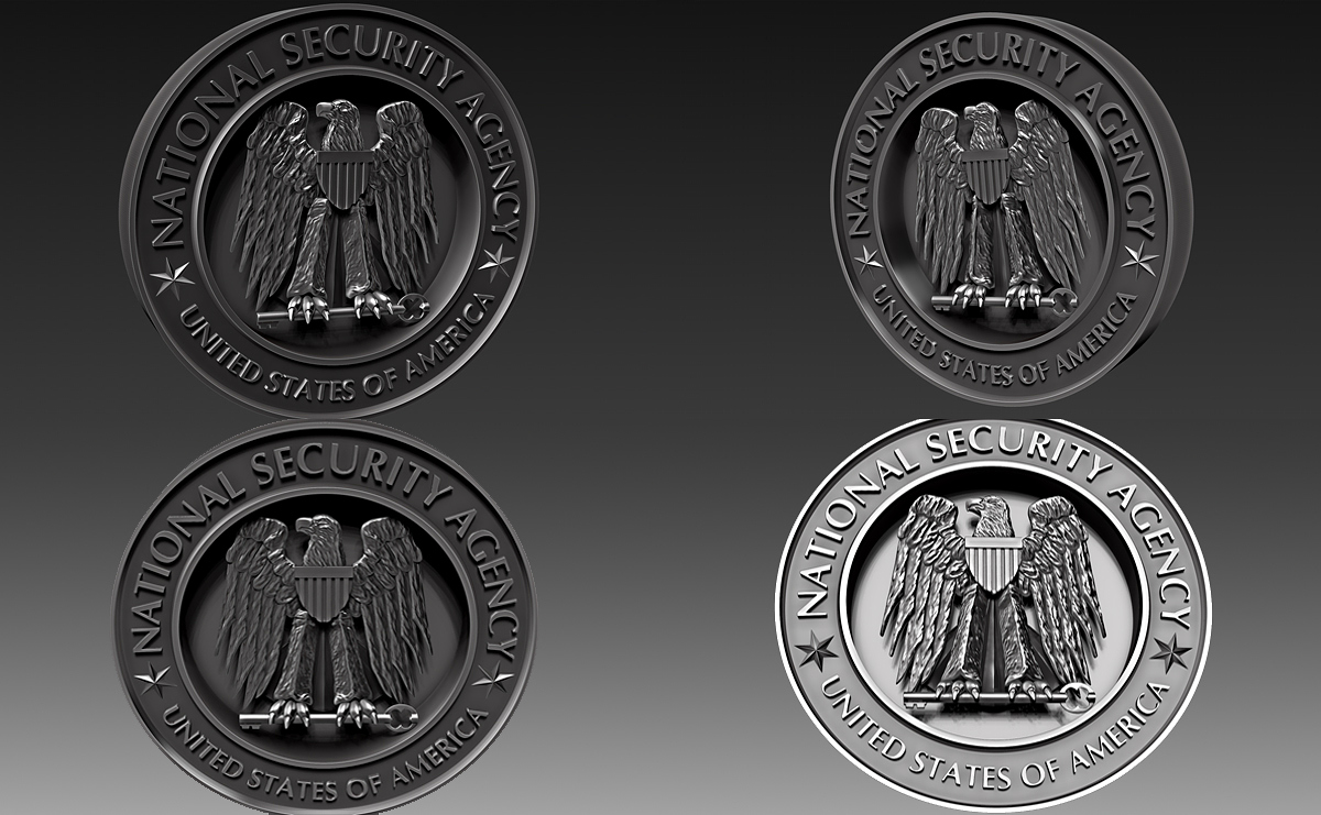 NSA logo 3D views.jpg