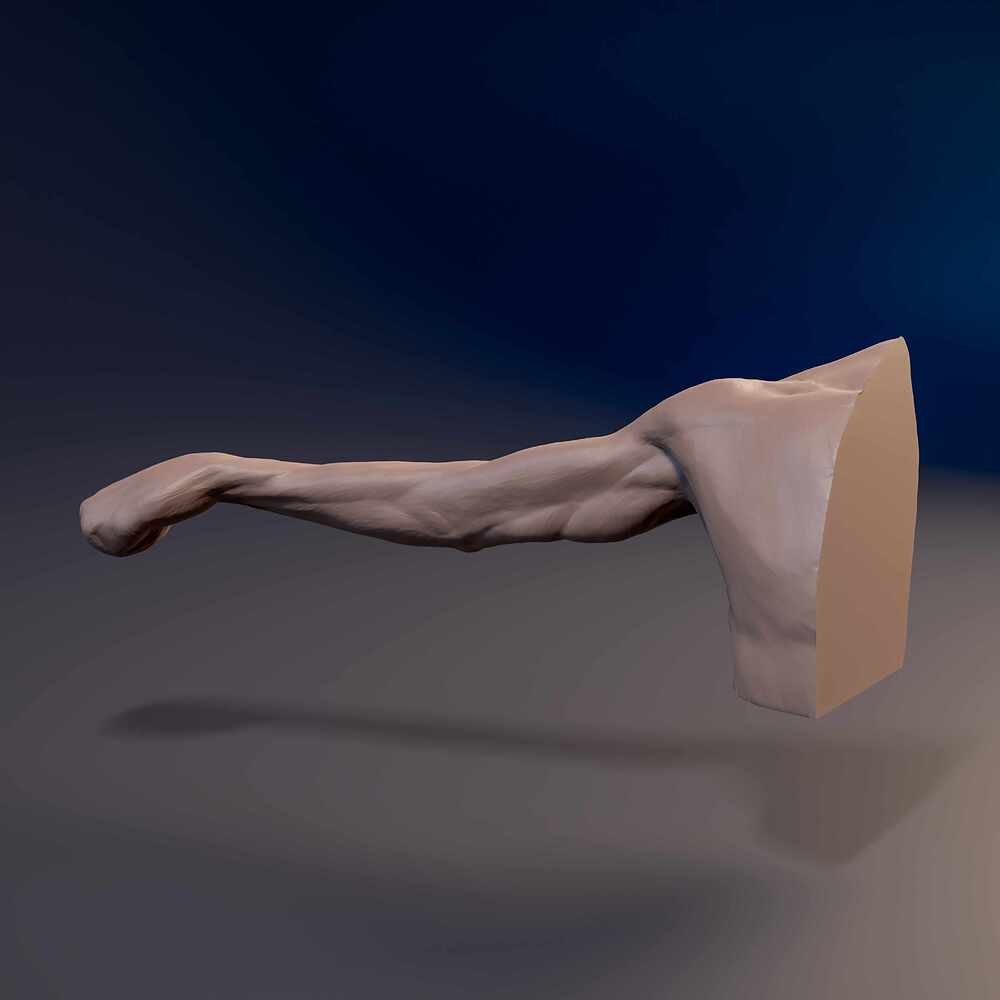 Arm_Straith_03