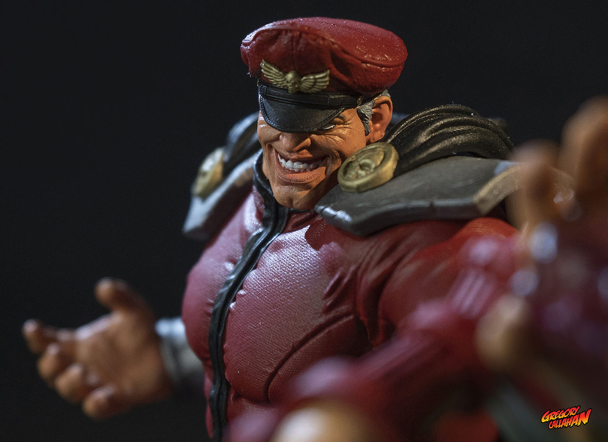 bison_vs_cammy%20(13)