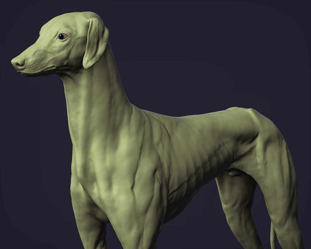 render_05