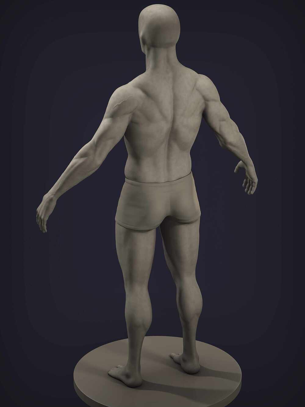 anatomy06