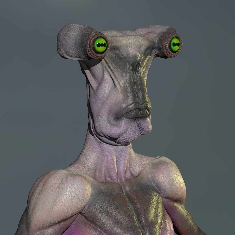 Untitled_Viewport_002