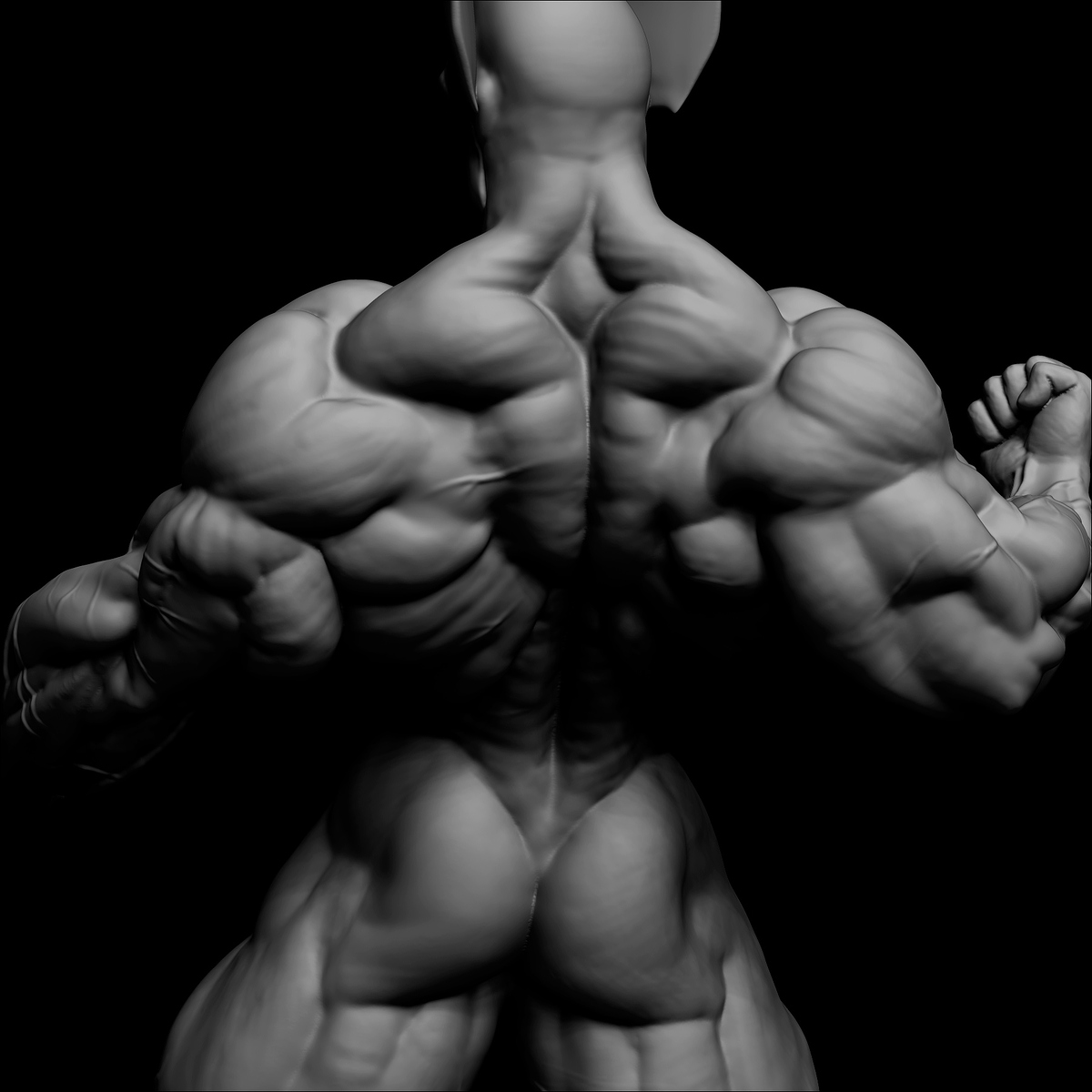 Anatomía 6