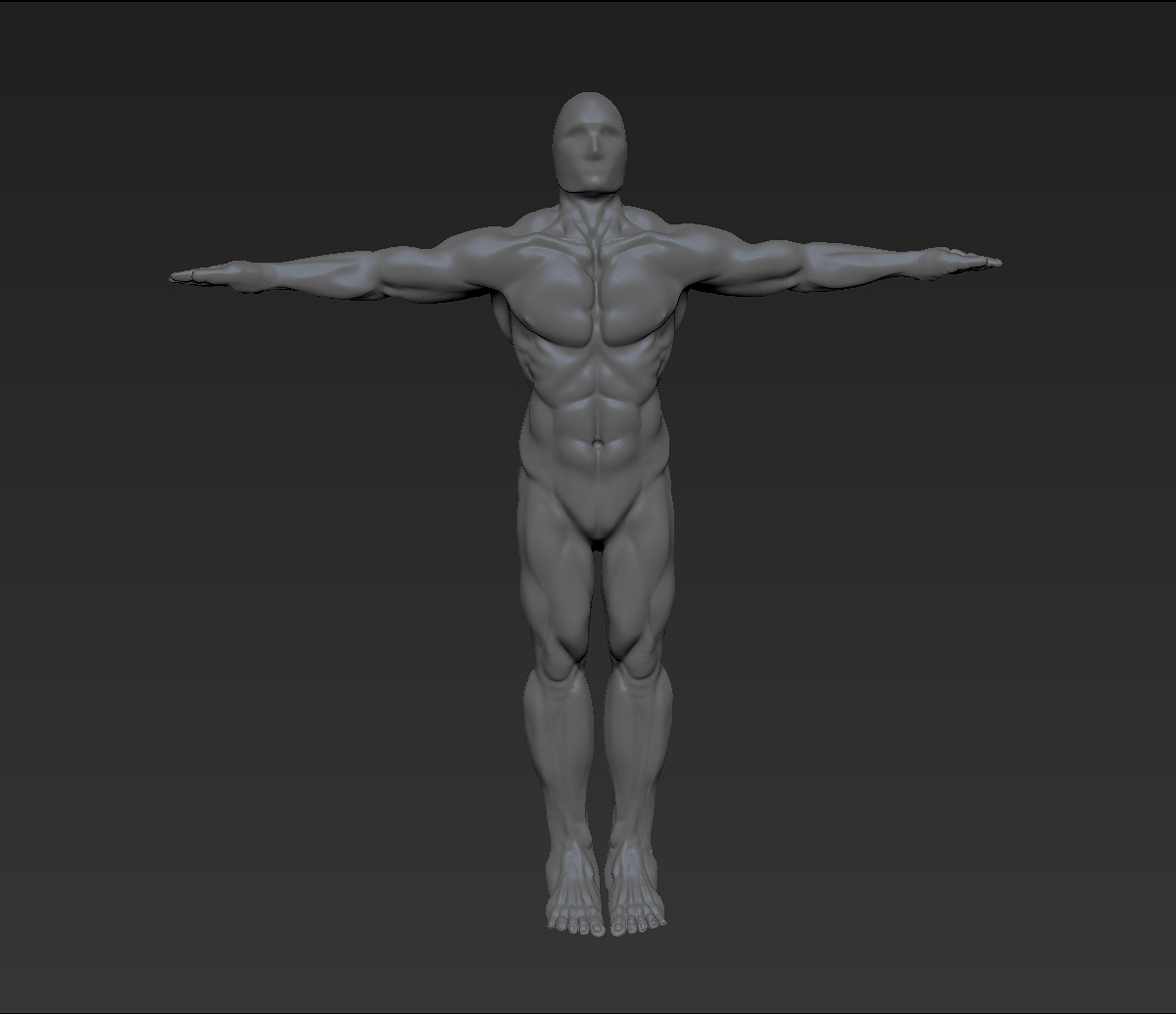 Human-Test-Wip1v1.jpg