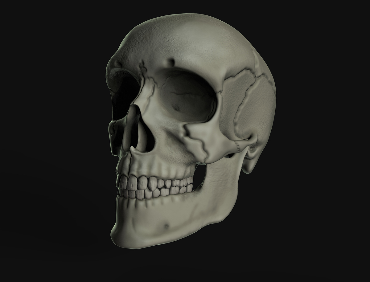 Render8_MariaCalatrava