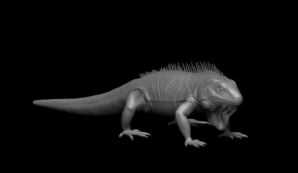 Iguana6