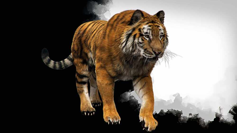 tiger07_PS