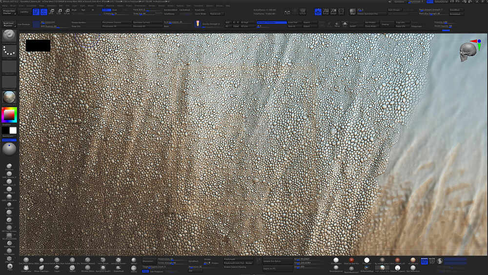 ZBrush Document8-1