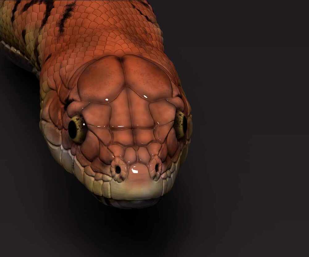 snake polypaint zbrush art5