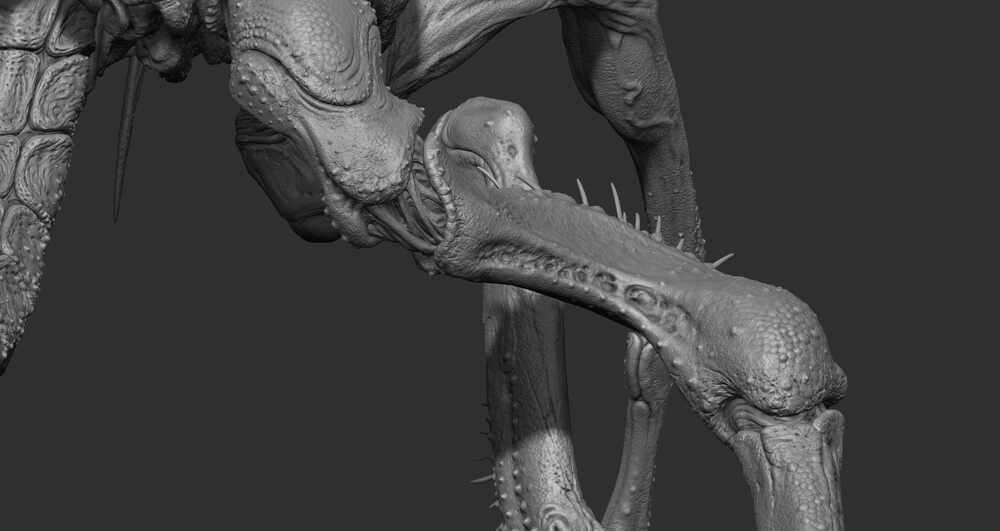 ZBrush Document7