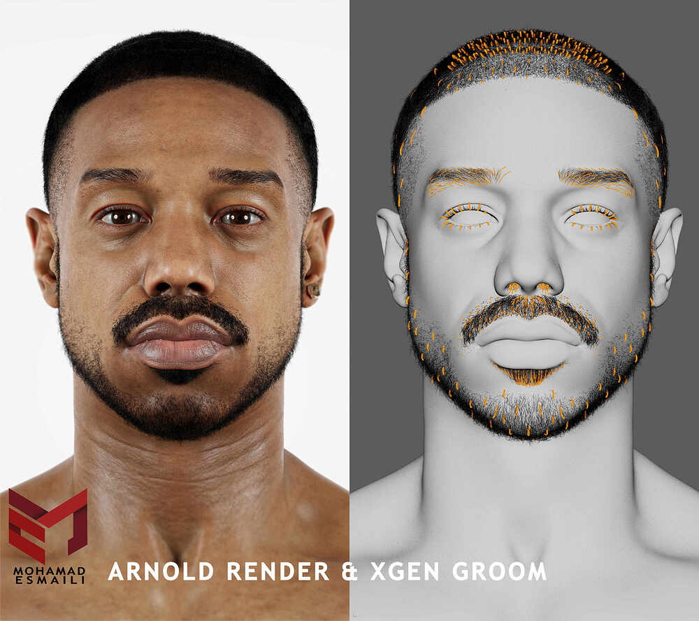 Arnold Render and Xgen Groom
