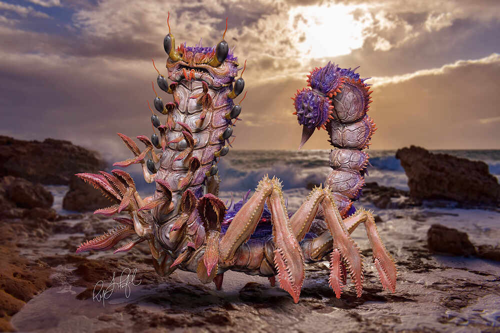 Exocrobion_Environment_V3