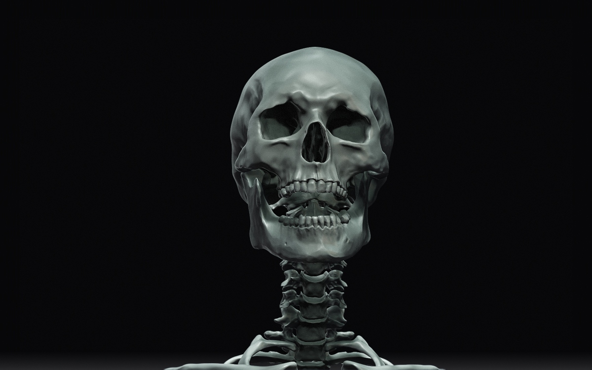 Head