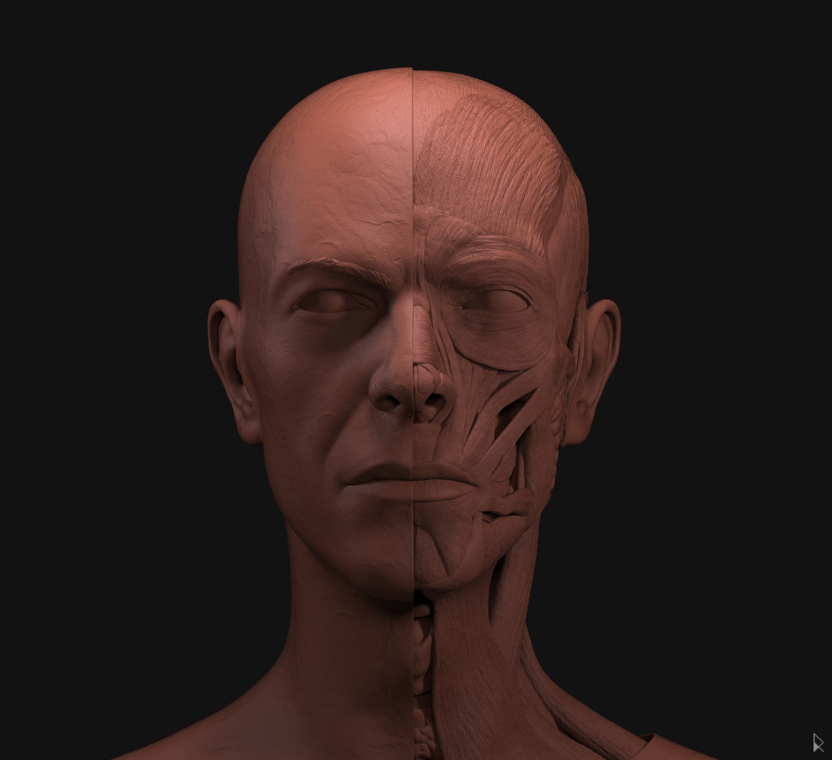 bowie_render1