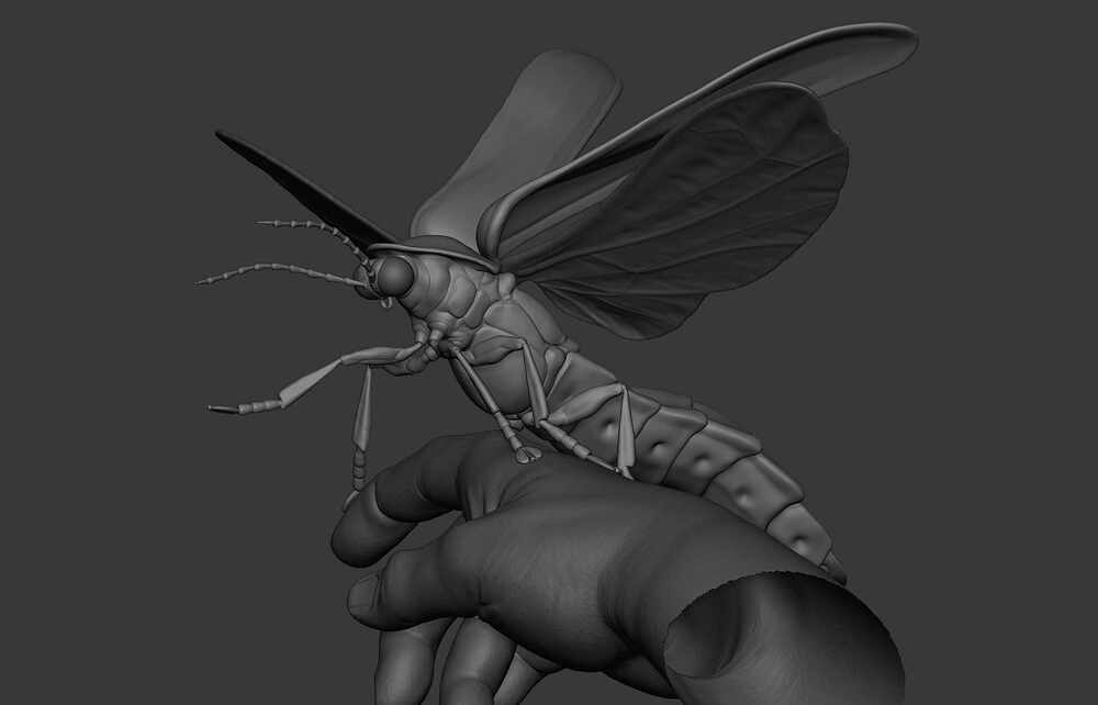 ZBrush Document9