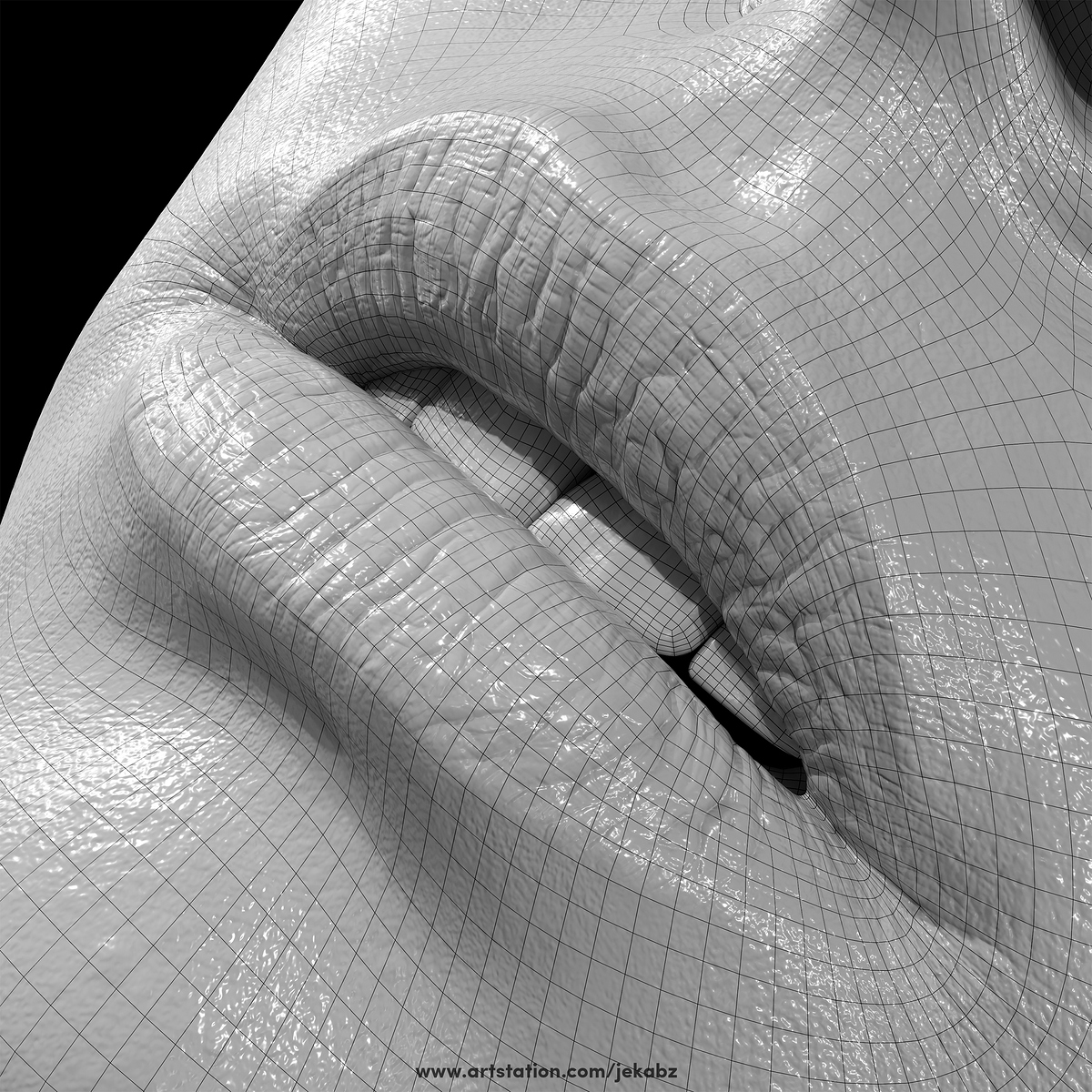 Lips_Wireframe_Product