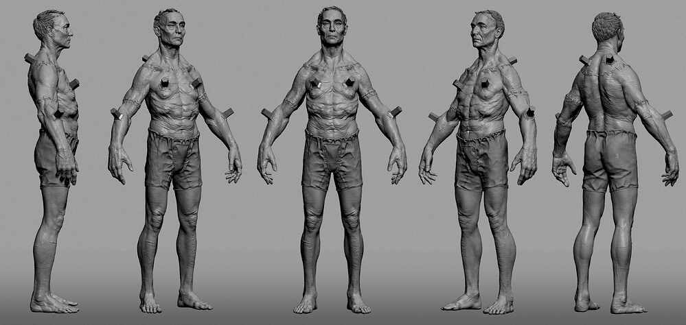 21_TURNANATOMY